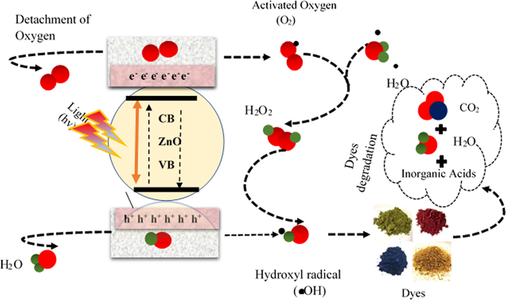 Photo-degradation mechanism of MO by ZnO under UV irradiation.