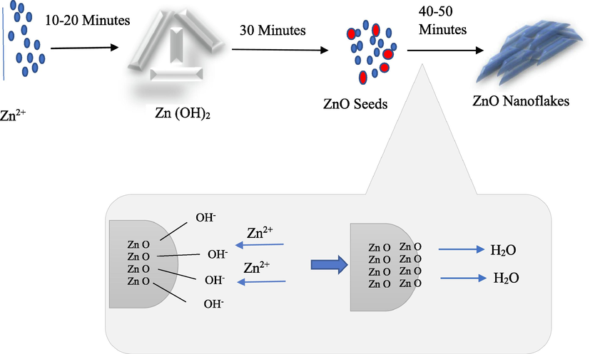 Proposed formation mechanism of ZnO nanoflakes.