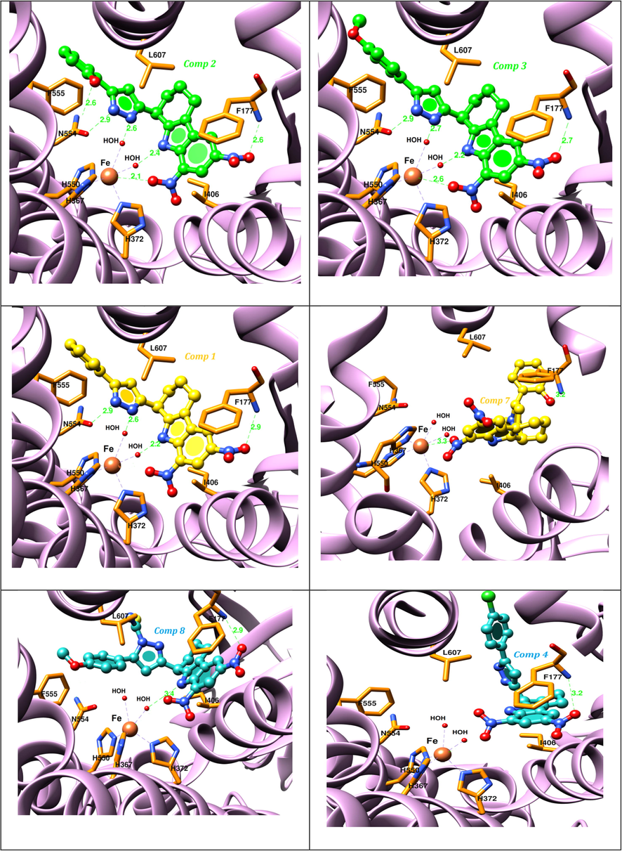 The binding mode of diazole derivatives; compounds (A) 2, (B) 3, (C) 1, (D) 7, (E) 8, (F) 4 at the binding site of 5-LOX.
