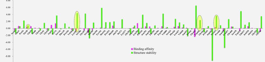 Effect of single-point mutations on the OppA stability (under the OppA-RPPGFSPFA complex) and on the binding energy changes for the OppA-RPPGFSPFA binding by mutating each key residue in the binding site of the OppA-RPPGFSPFA complex to alanine. The mutation effect defined as follows: Stabilizing (mutation energy < −0.5 kcal/mol), neutral (−0.5 kcal/mol < mutation energy < 0.5 kcal/mol), and destabilizing (>0.5 kcal/mol).