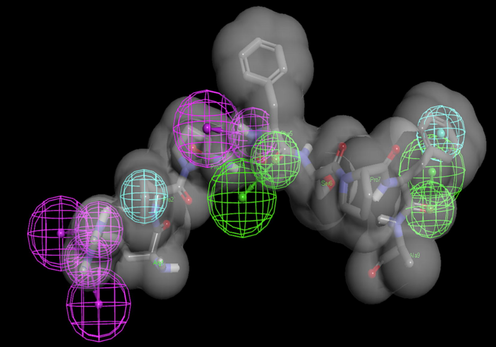 The OppA-RPPGFSPFA pharmacophore generated based on the interaction in the complex. Receptor-ligand pharmacophore features essential to interact with key features on RPPGFSPFA. Pharmacophore features convert into a particular color-code (blue, hydrophobic; purple, H-bonding donor; green, H-bonding acceptor; gray shape, shape constraints in the binding pocket of the OppA).