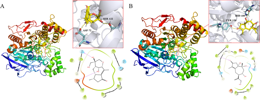 A) Molecular docking of compound 6 with acetylcholineterase. B) Molecular docking of compound 11 with acetylcholineterase.
