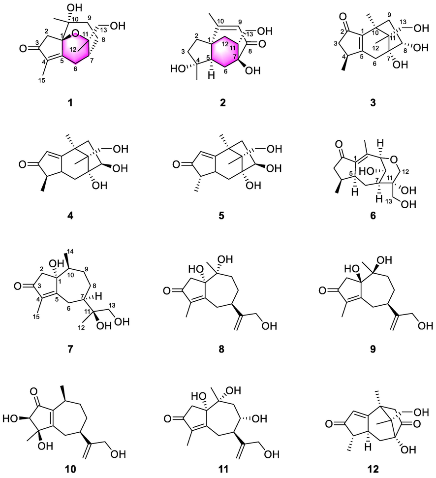 Chemical structures of compounds 1–12.