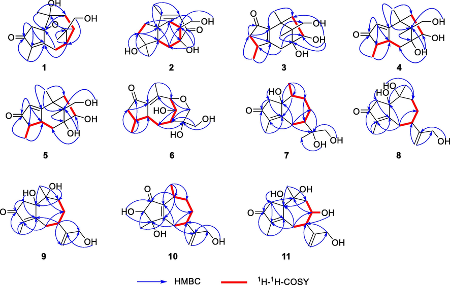 Key HMBC (blue) and 1H−1H COSY (bold red) correlations of compounds 1–11.