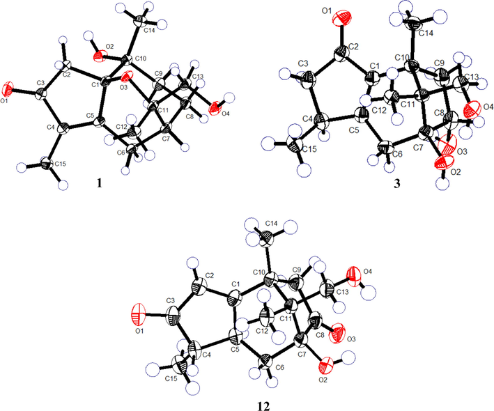 The ORTEP drawing of compounds 1, 3 and 12.