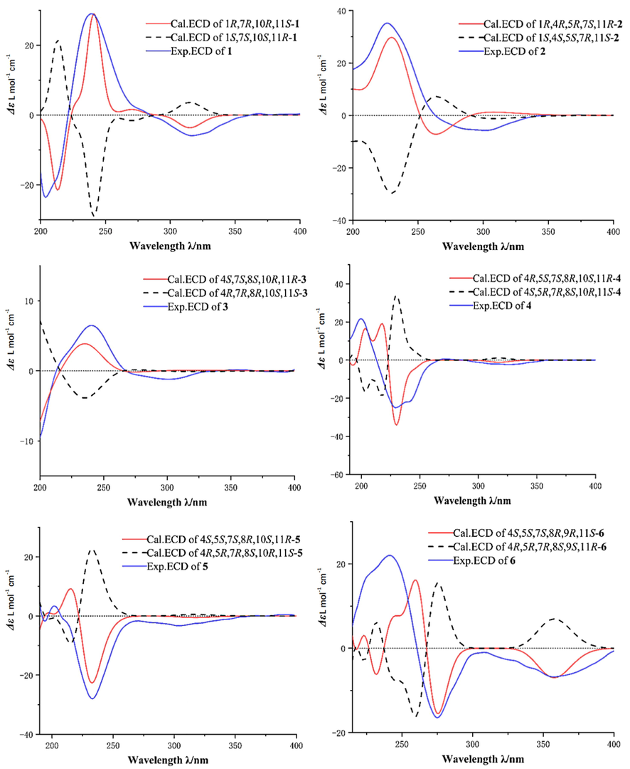 Calculated and experimental ECD spectra of compounds 1–6.