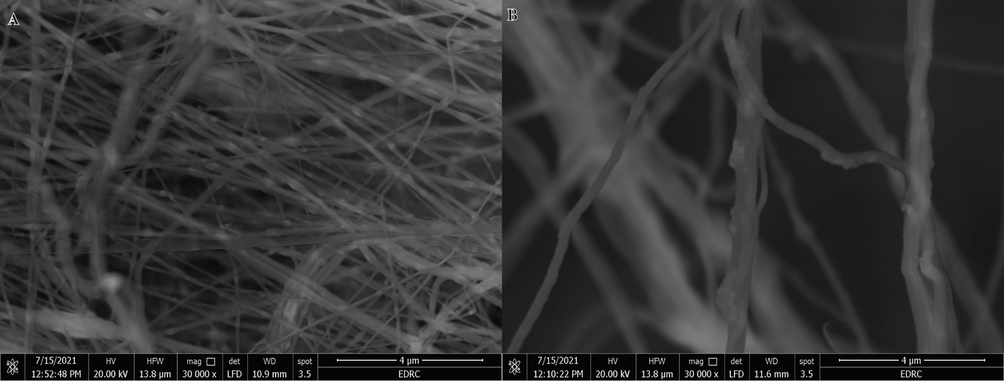 Low (a) and high magnifications (b) of HFB-40 membrane after ten cycles reused.