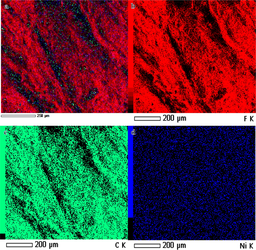 Elemental mapping showing the distribution of fluorine (F), carbon (C) and nickel (Ni) in the HFB-40 membrane.