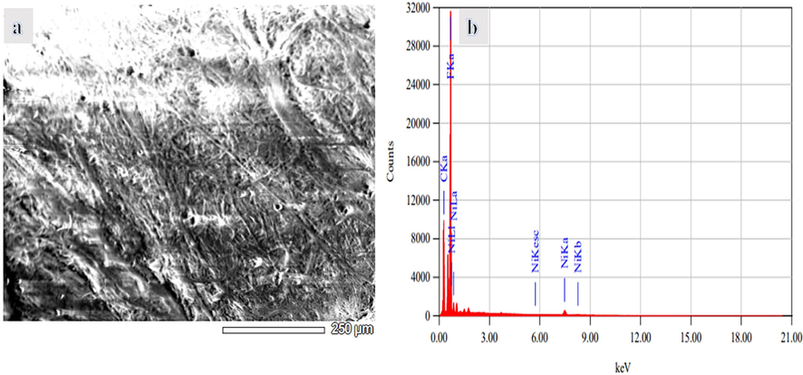 (A) SEM image and (B) EDX chart of HFB-40 membrane.