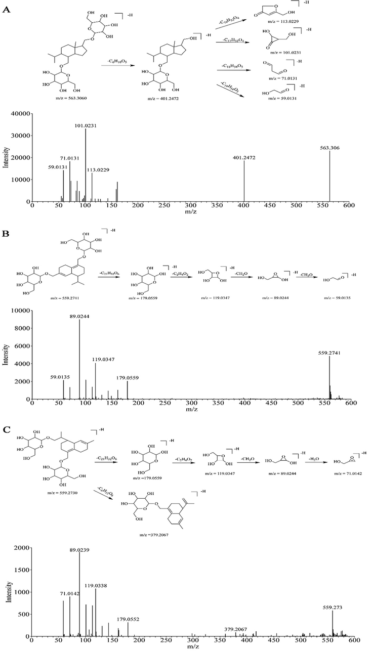 The proposed cleavage pathway and spectra of ion fragments in MS/MS analysis of Dendronobiloside A (A), Dendronobiloside C (B), and Dendronobiloside D (C).