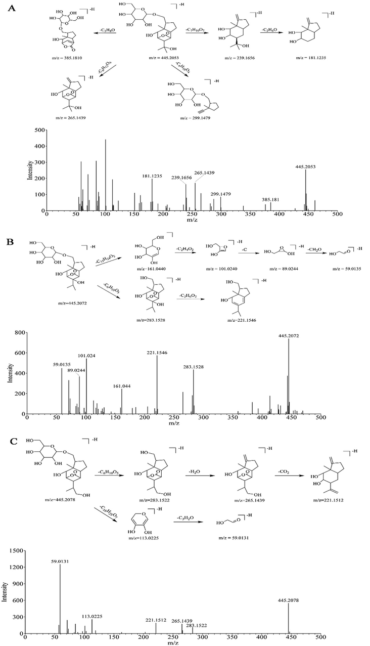 The proposed cleavage pathway and spectra of ion fragments in MS/MS analysis of Dendromoniliside D (A), Dendroside G (B), and New Compound (C).