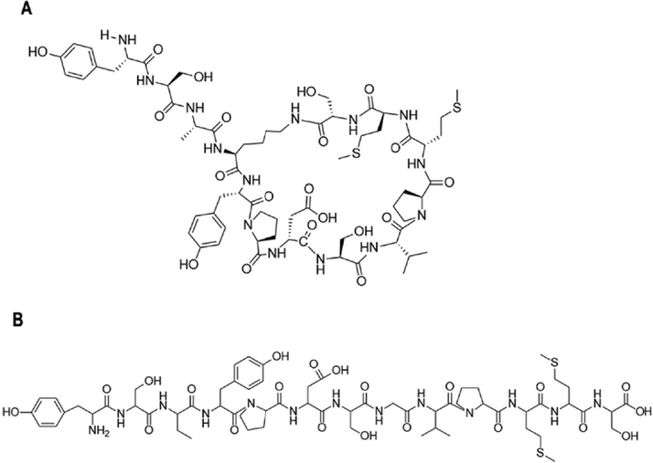 Chemical structure of two kinds of peptides. A. the structure of SD01. B. the structure of YSA.