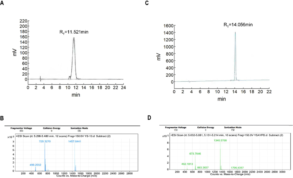 Identification of SD01 and YSA. A. HPLC-UV trace of SD01 at 220 nm channel. B. MS report of SD01. C. HPLC-UV trace of YSA at 220 nm channel. D. MS report of YSA.