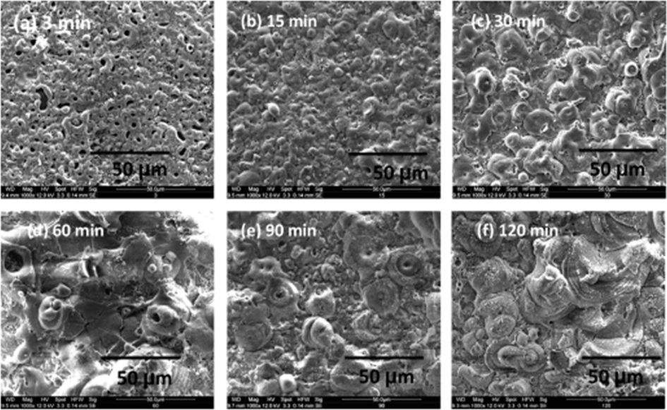 SEM images of AZ31 sample surfaces: (a, b) without coating; (c–e) with OCP coating; and (f) with HA coating. (Wang et al., 2022) (not open access).