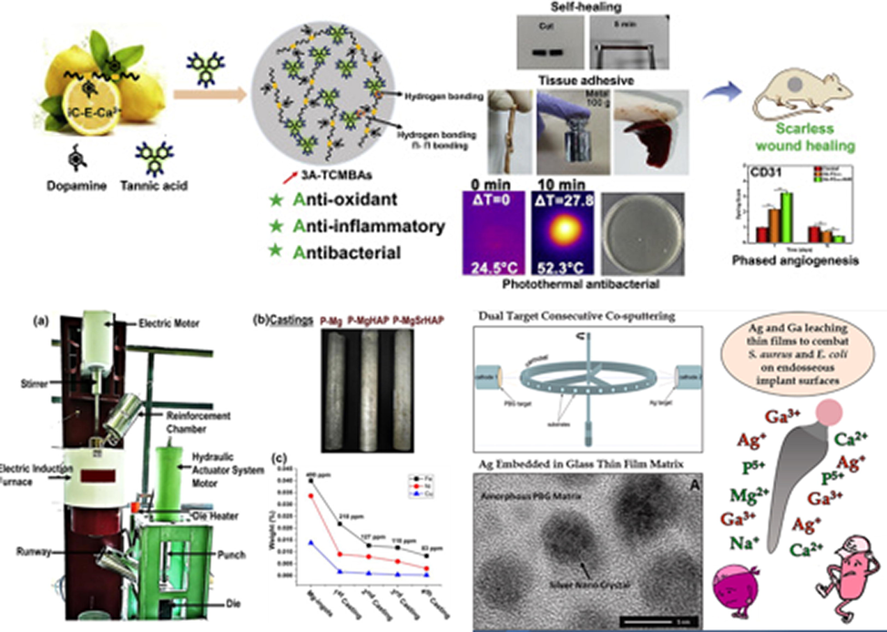 The inclusion of bioactive nanoparticles and other nanobiological substances [174–176].