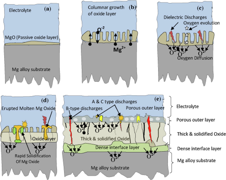 A schematic of the plasma electrolytic oxidation (PEO) coating(Tesavibul et al., 2015).