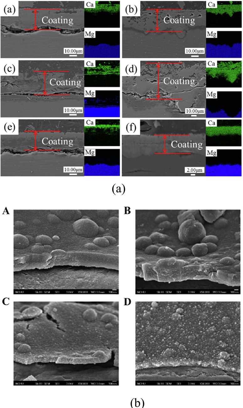 (a) Cross-sectional images of HA coating(Ho and Ding, 2015) and (b) PDA-HA coating(Zheng et al., 2021).