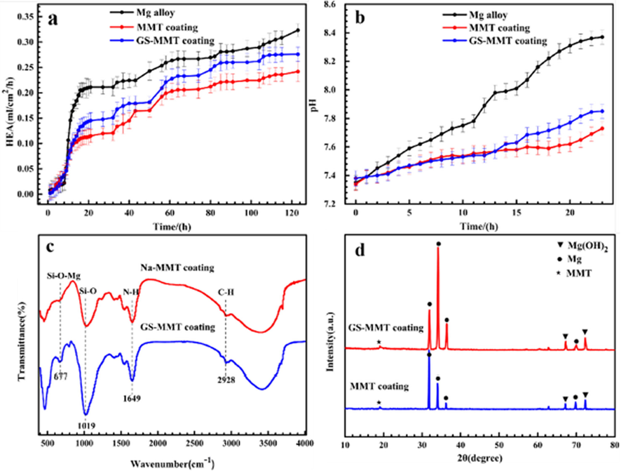 HEA curves of AZ31, MMT and GS/MMT coatings immersed for 120 h (a), variation in pH values for AZ31, MMT and GS/MMT coatings in DMEM for 24 h (b), FT-IR spectra (c) and XRD patterns (d) of the MMT coating and GS/MMT coating immersed in DMEM for 5 days (Baghbaderani et al., 2022).