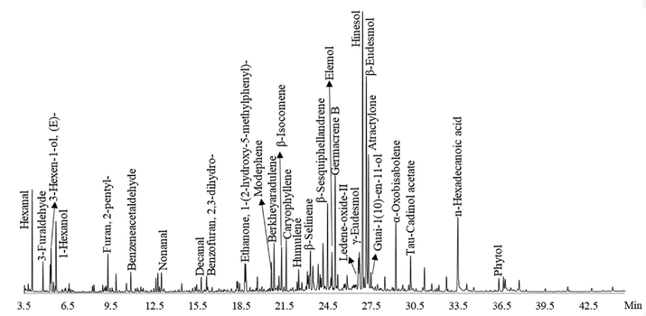 Total ion current chromatogram of EOAPA by GC-Q/TOF-MS.