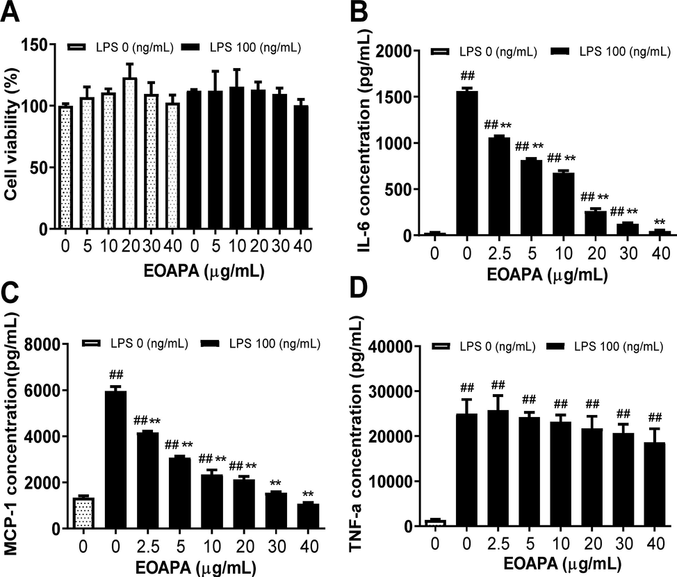 Evaluation of anti-inflammatory of EOAPA in LPS-stimulated RAW264.7 cells. (A) Effect of EOAPA on cell viability of RAW264.7 cells was estimated by CCK-8 assay. (B) IL-6 and (C) MCP-1 levels in culture supernatant pre-treated by different concentrations of EOAPA. Data represent Mean ± SD (n = 3). ## p < 0.01 versus control group (treated by reagent); ** p < 0.01 versus LPS treated group.