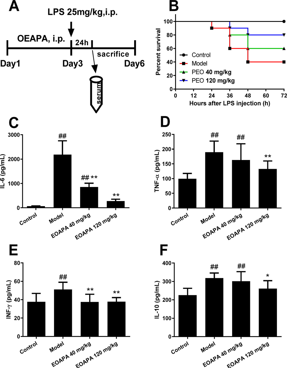 EOAPA prevented septic death and downregulated inflammatory cytokines level in LPS-induced septic shock mouse model. (A) Timetable of the LPS-induced septic shock mouse model. (B) Mice survival rate after 72-h post-LPS challenge (i.p., 25 mg/kg) with or without pre-administration of EOAPA (40 or 120 mg/kg) (n = 10/group). Serum levels of (C) IL-6, (D) TNF-α, (E) IFN-γ and (F) IL-10 24 h after the administration of LPS with or without pre-administration of EOAPA. Data represent Mean ± SD (n = 10). # p < 0.05, ## p < 0.01 versus control group; * p < 0.05, ** p < 0.01 versus model group.