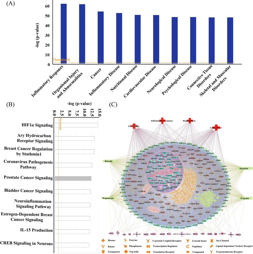 Analysis of the compounds-targets-pathways-diseases network of four compounds in SR. The top 10 diseases (A) and top 10 pathways (B) related to BC, WS, BN and WN according to p-value score. The compounds-targets-diseases network (C).