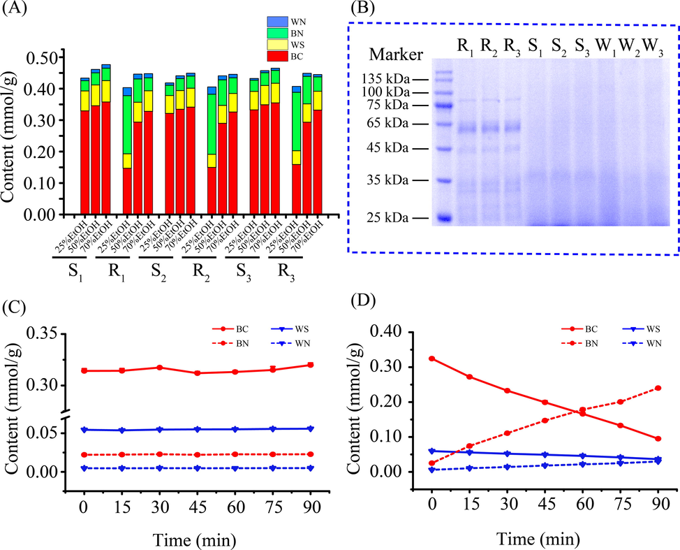 The content of four active compounds in SR treated by the different extraction solution and identification of β-glucuronidase in RSR. The content of four active compounds obtained from RSR (R1, R2 and R3) and SSR (S1, S2 and S3) by the different extraction solution (25 %, 50 %, and 70 % ethanol aqueous solution) (A). Identification of β-glucuronidase in SR samples by SDS-PAGE (B). The variation trend of the interesting compounds content in water extract of SSR incubated at 37 °C in 90 min (C). The dynamic variation of the interesting compounds content in water extract of SSR incubated at 37 °C in 90 min by exposing to the enriched protein from RSR (D).