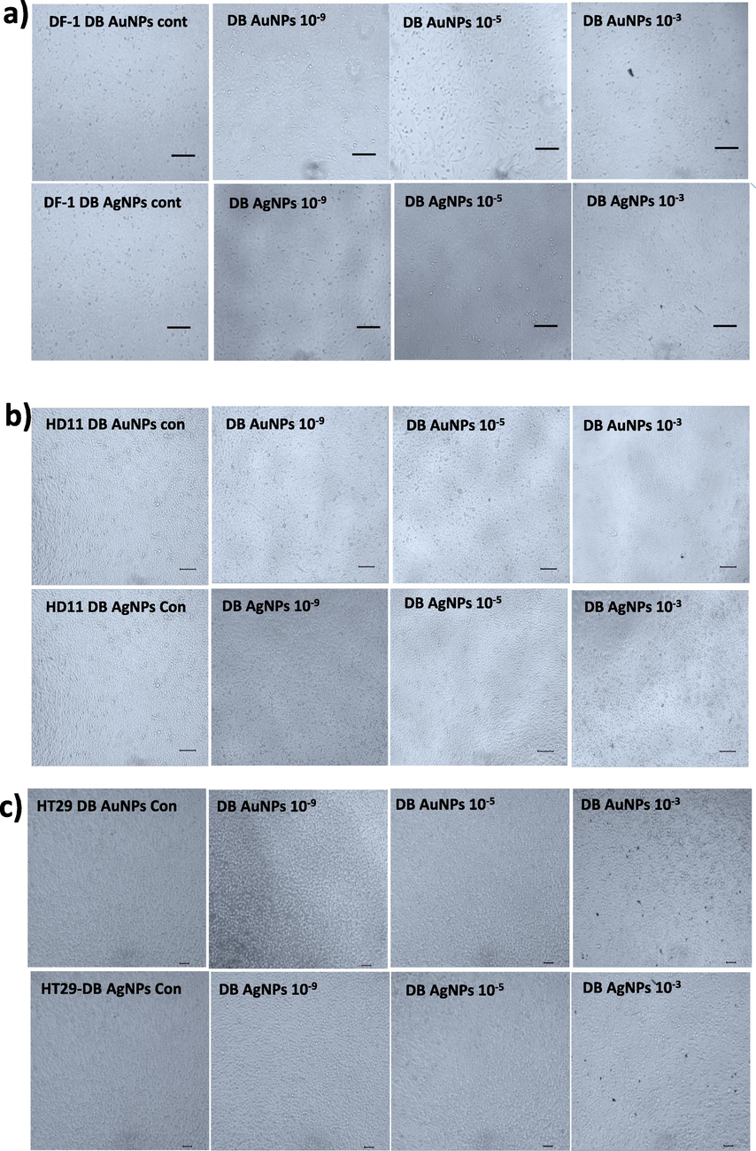 Cells were treated with different concentrations of biosynthesized DB-AuNPs and DB-AgNPs for 24 hr. Morphological changes were observed in the nanoparticle-treated cells and control cells using a light microscope. (a) DF1 cells, (b) HD11 cells, and (c) HT-29 cells treated with different dilutions of DB synthesized AuNPs and AgNPs. (Stock concentration was 10 mg/ml, diluted into 10−1 − 10−9 dilution = 1 mg/ml – 0.01 pg/ml).