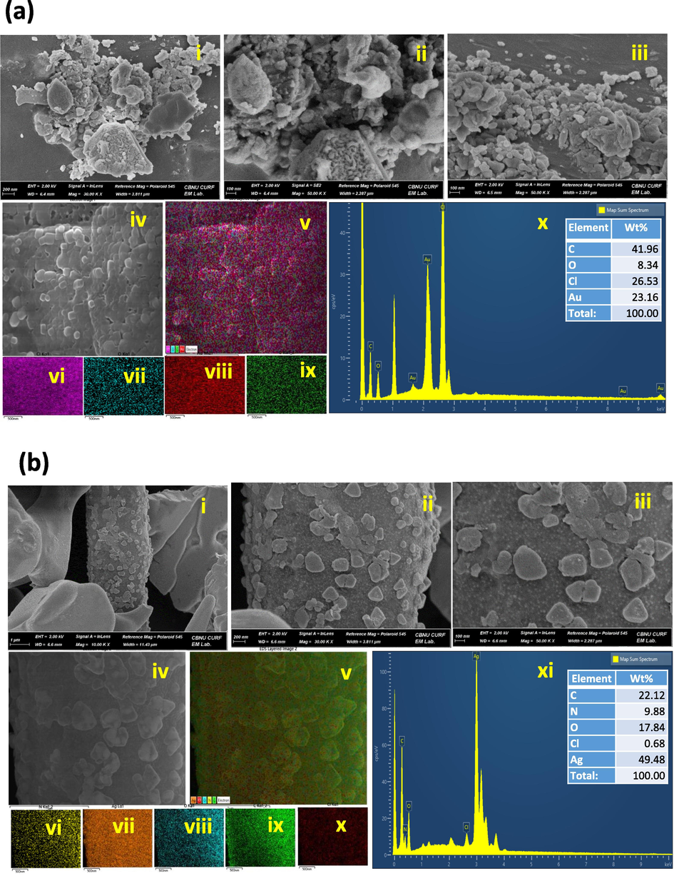 Field Emission Scanning Electron Microscope image of DB synthesized AuNPs and AgNPs. (a) (i-iii) Size and morphology of the synthesized AuNPs with a scale bar of 100 nm. (iv-ix) Elemental mapping of purity and distribution analysis in selected electron micrograph region of gold nanoparticle sample. (x) Energy dispersive X-ray spectrum of biosynthesized AuNPs (inset table with composition of elements in wt.%). (b) (i-iii) Size and morphology of the biosynthesized AgNPs with a scale bar of 100 nm. (iv-x) Elemental mapping of purity and distribution analysis in selected electron micrograph region of silver nanoparticle sample. (xi) Energy dispersive X-ray spectrum of synthesized AgNPs (inset table with composition of elements in wt%).