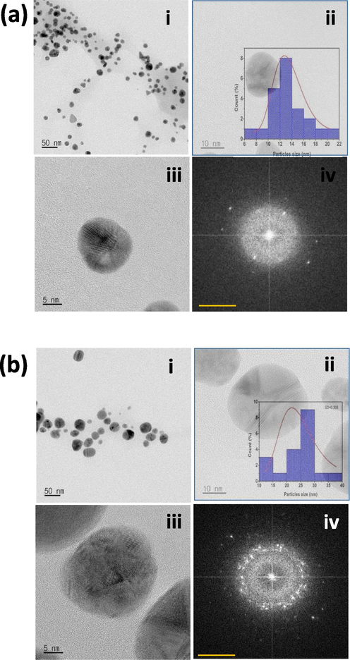 Transmission Electron microscope images of DB synthesized AuNPs and AgNPs. (a) (i-iii) Shape and size of the synthesized AuNPs (scale bar: 50, 20 and 5 nm). (Inset: histogram diagram showing particle size distribution of synthesized gold NPs analysed using the ImageJ program. (iv) SAED pattern of the AuNPs. b) (i-iii) Shape and size of the synthesized AgNPs (scale bar: 50, 20 and 5 nm). (Inset: histogram diagram showing average size distribution of synthesized silver NPs analysed using the ImageJ program. (iv) SAED pattern of the AgNPs.