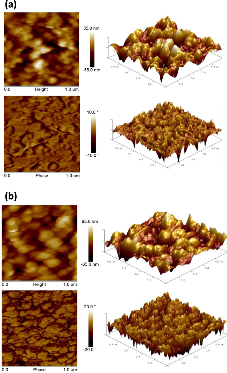 AFM analysis of 2D and 3D structural views of DB synthesized (a) AuNPs and (b) AgNPs.