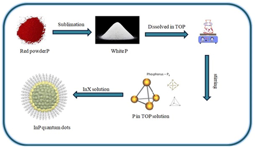 Scheme for the synthesis of InP QDs.