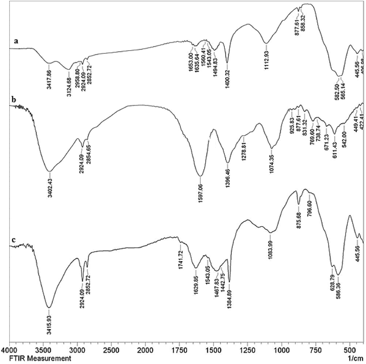 The FT-IR spectra ofFe3O4NPs (a),White tea extract (b) and green synthesized Fe3O4@W.tea/Ag nanocomposite (C).