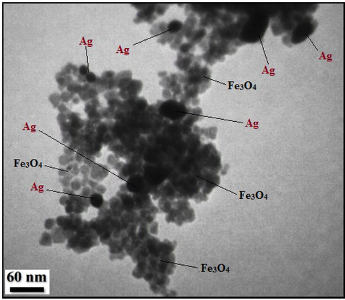 TEM image of Fe3O4@W.tea/Ag nanocomposite.