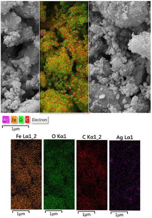 SEM image of Fe3O4@W.tea/Agnanocompositewith its elemental mapping.