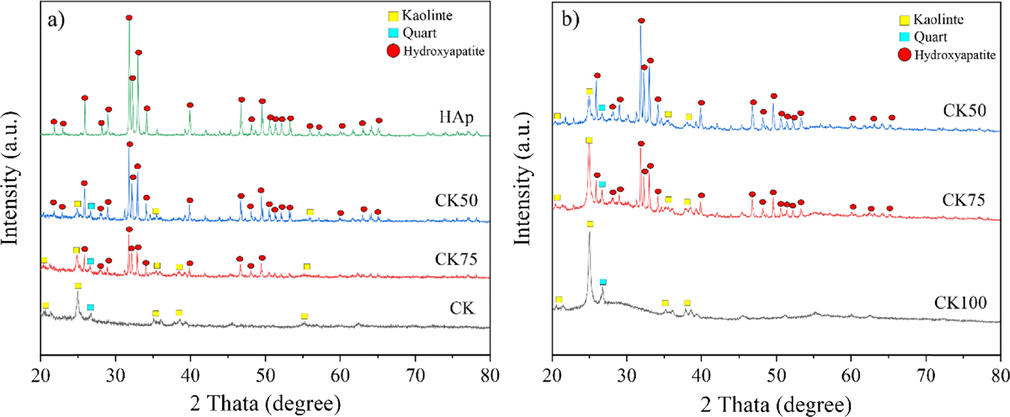 The XRD patterns of (a) the substrate (CK and HAp) powders and the mixed powders and (b) the post-formed samples (CK100, CK75 and CK50).