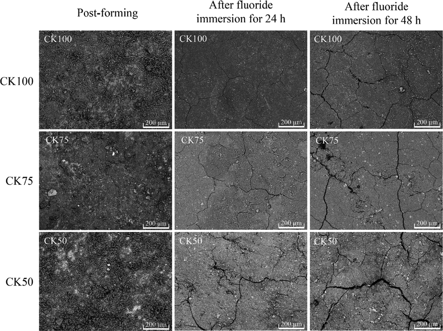 The surface morphology of the post-formed samples and after immersed in a fluoride solution for 24 and 48 h.