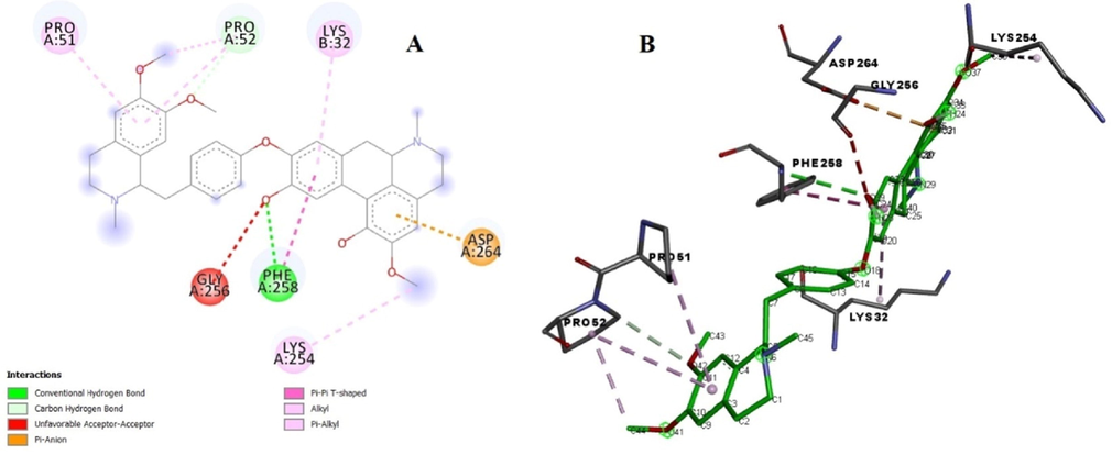 (A) Binding poses of ligand with the target protein tyrosinase showing surface interaction. (B) Amino acid interaction of ligand with the protein.