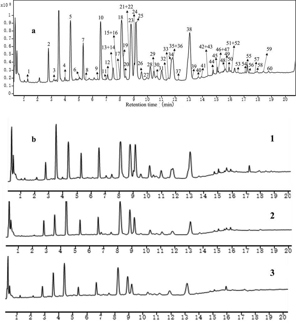 Overlaid base peak chromatograms of Sennae folium methanol extract obtained using UPLC-Q-TOF/MS in negative ionization mode (a); the total ion chromatogram（TIC）of different grades by negative scan (b), 1: Green Leaves; 2: Yellow Leaves; 3: Diseased Leaves.