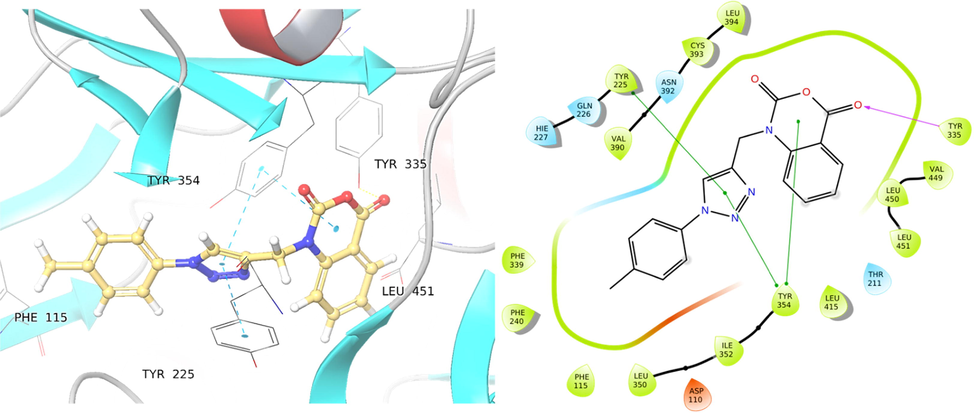 Binding of compound 4b into the cavity of C. albicans N-Myristoyltransferase (PDB ID: 1IYL).