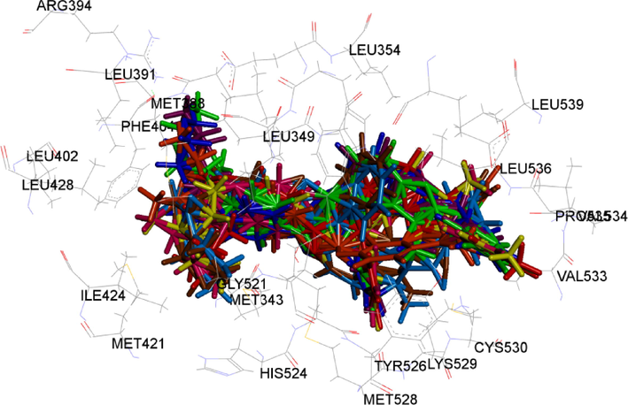 The binding models of target compounds 5a (pink), 5b (brown), 5c (sky blue), 5d (orange), 5e (yellow), 5f (red), 5g (blue), 5h (purple) and 5i (green) with ERα (PDB code: 2OUZ).