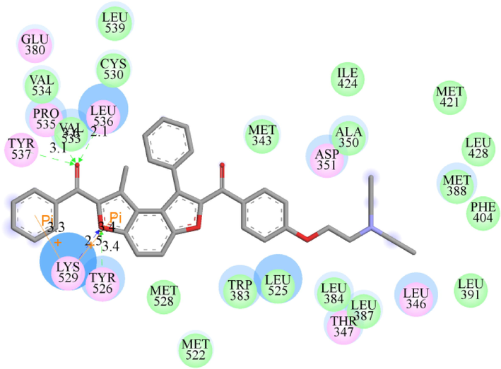 Docking model of 5i in the active site of ERα (2OUZ).