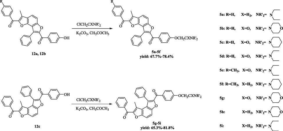 The synthesis of furo[2,3-e][1]benzofuran derivatives and furo[3,2-e][1]benzofuran derivatives.