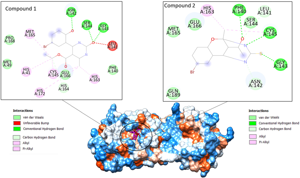 Binding of the compounds at substrate binding cavity of SARS-CoV-2 main protease enzyme. Compound I is shown by a red stick while compound IV is pink. The enzyme is on hydrophobicity surface. The binding interactions of compounds are also given.