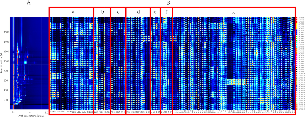 (A) Topographic plot; (B) Fingerprints of 15 batches of ATR deteced by HS-GC-IMS. Each row represents a selected signal peak in a sample and each column represents a signal peak of a compound in a different sample. Compounds correspond to Table 1.