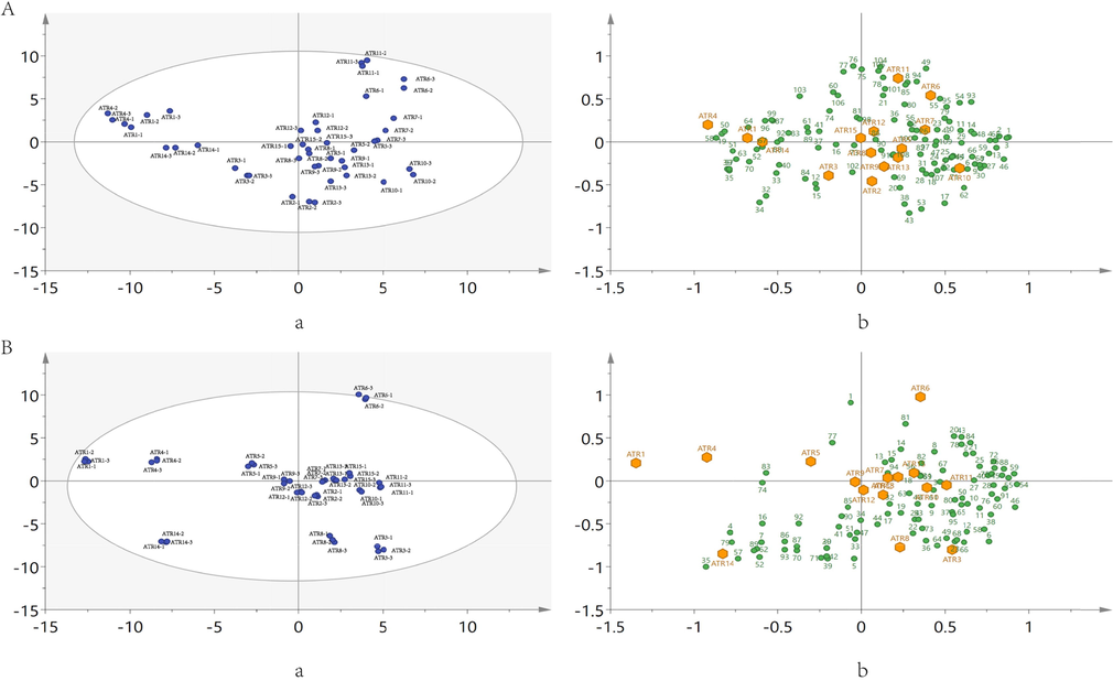 PCA score plot of 15 batches of ATR. (A) HS-GC-IMS, compounds correspond to Table 1; (B) HS-SPME-GC–MS, compounds correspond to Supplementary Information (Table S2). (a and b are score scatter plot and biplot; in biplot, the yellow hexagons represent ATR, the green circles represent components.).