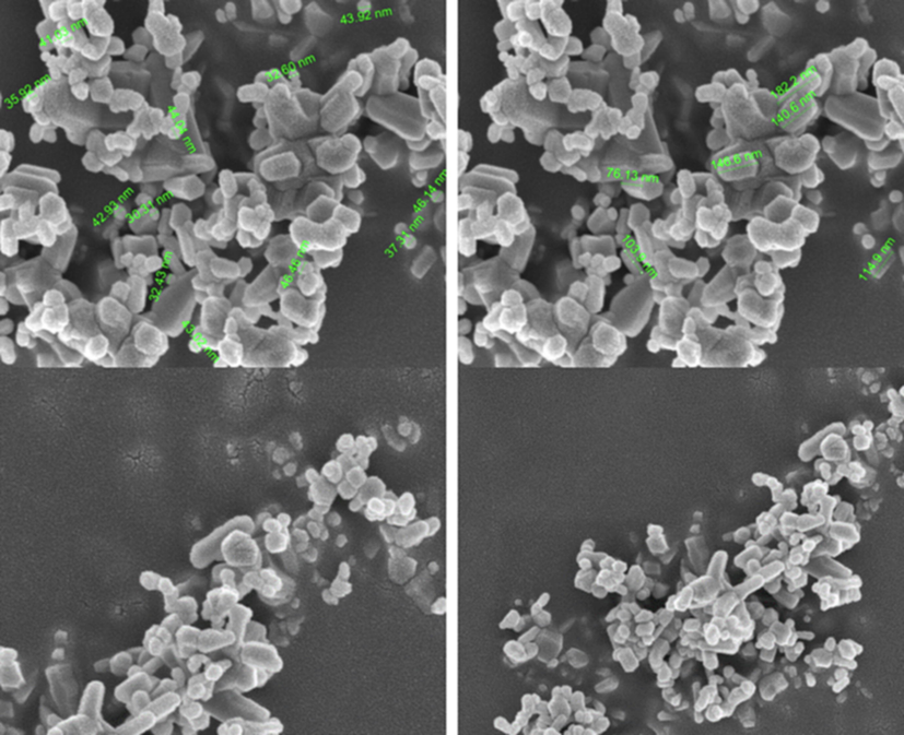 FESEM micrographs of ZnONPs.