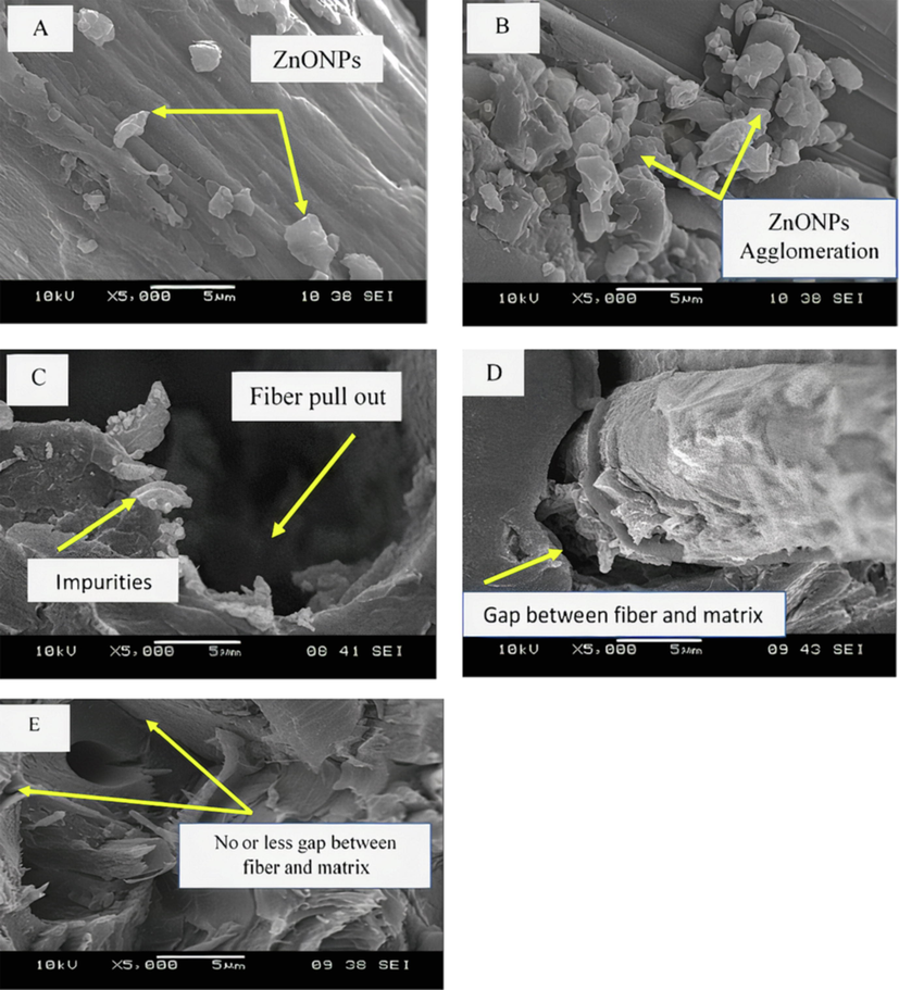 SEM micrographs of (a) UPE/KF-1% ZnONPs, (b) UPE/KF-5% ZnONPs, (c) UPE/ 10 wt% KF, (d) UPE/ 30 wt% KF, (e) UPE/KF- 2% ZnONPs composite.