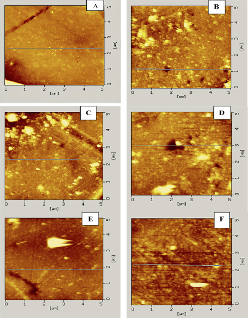 AFM images (a) untreated KF, (b) KF- 1% ZnONPs, (c) KF- 2% ZnONPs, (d) KF- 3% ZnONPs, (e) KF- 4% ZnONPs, (f) KF- 5% ZnONPs.