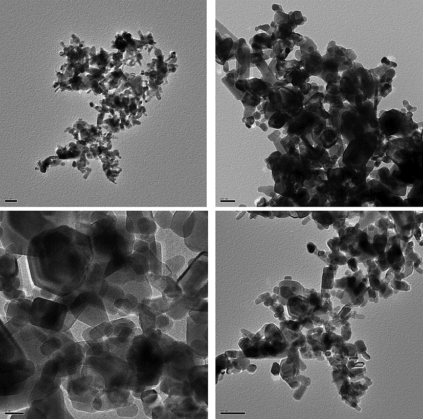 TEM micrographs of ZnONPs.